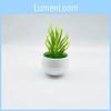 Desert Plastic Simulated Succulent Plant Desktop Decoration Plant Potted