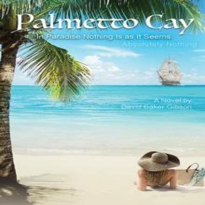 Palmetto Cay by David Baker Gibson Paperback Book 9781035881093