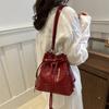 Stylish Bucket Bag Trendy Design For 2024 Summer Fashionable Crossbody Purse