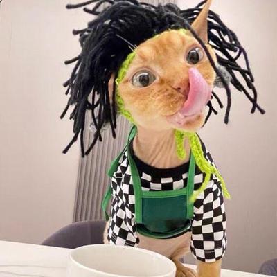 Cat Hat Pets Knitted Cosplay Hat Halloween Christmas Party Costume Headwear Dress-up Accessories for Puppy Cat Kitten
