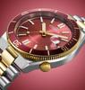 CITIZEN TSUYOSA Automatic 40mm Men’s Watch NJ0234-58X