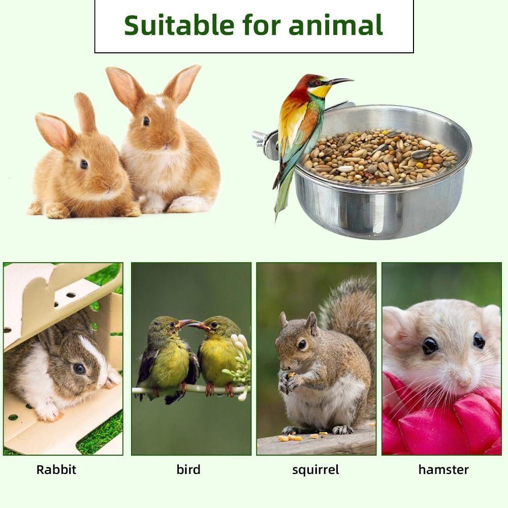 Stainless Steel Parakeet Feeder with Clamp Holder Parrot Food Bowl Bird Bowls  Dogs Cats Cage