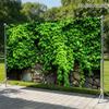 2D rustikale Steinmauer mit dichtem grünen Efeu, Hintergrund für den Vorgarten eines Vorstadthauses