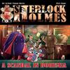 A Scandal In Bohemia A Sherlock Holmes Graphic Novel by Petr Kopl Paperback Book 9781780926803