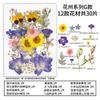 Natural Dried Flowers Pack For Diy Resin Pressed Flower Art