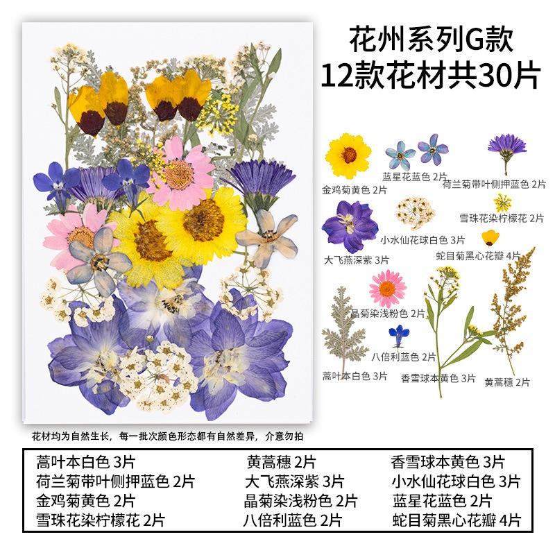 Natural Dried Flowers Pack For Diy Resin Pressed Flower Art