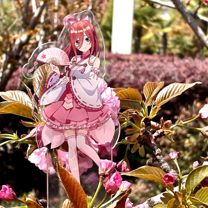 New "The Quintessential Quintuplets" 8CM Acrylic Stand Figurines In Cherry Blossom Miko Costumes: Ichika, Nino, Miku, Yotsuba, and Itsuki.