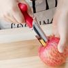 Stainless Steel Fruit Cutter Multi-Functional Core Remover Tool Fruit Corer  Cooking Tools