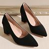 Fashion Rimocy Sexy Black Point Toe High Thick Heels Women's 2025 Spring Suede Leather Plus Size Pumps High-Quality Woman Office Heels