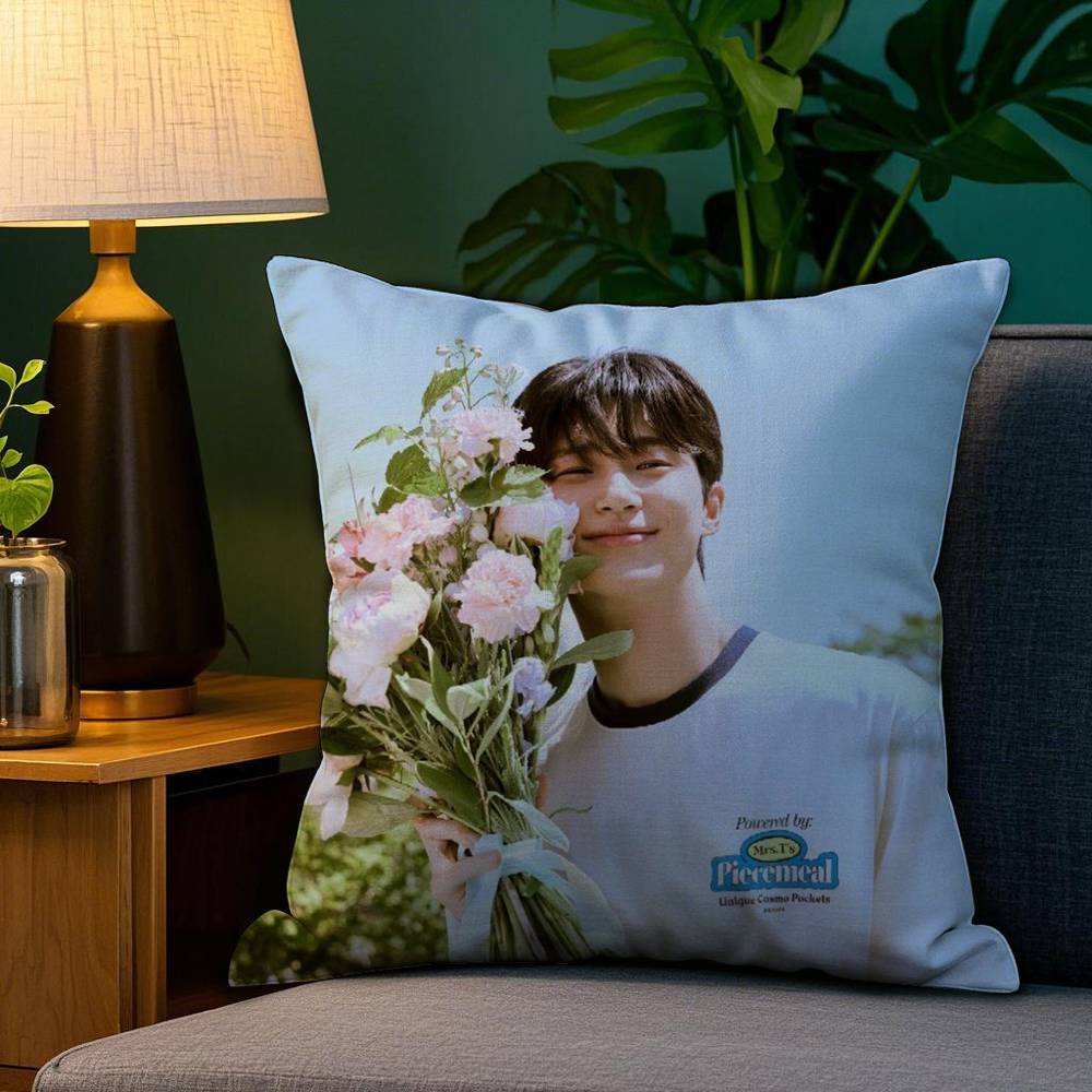 B-Byeon Woo-seok Korea Pillow Case Plush Fabric Soft Double Sided Print Sofa Cushion Cover Throw Pillow Covers