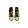 Nike Dunk Low Michigan 2021/2024 GS Sneakers CW1590-700
