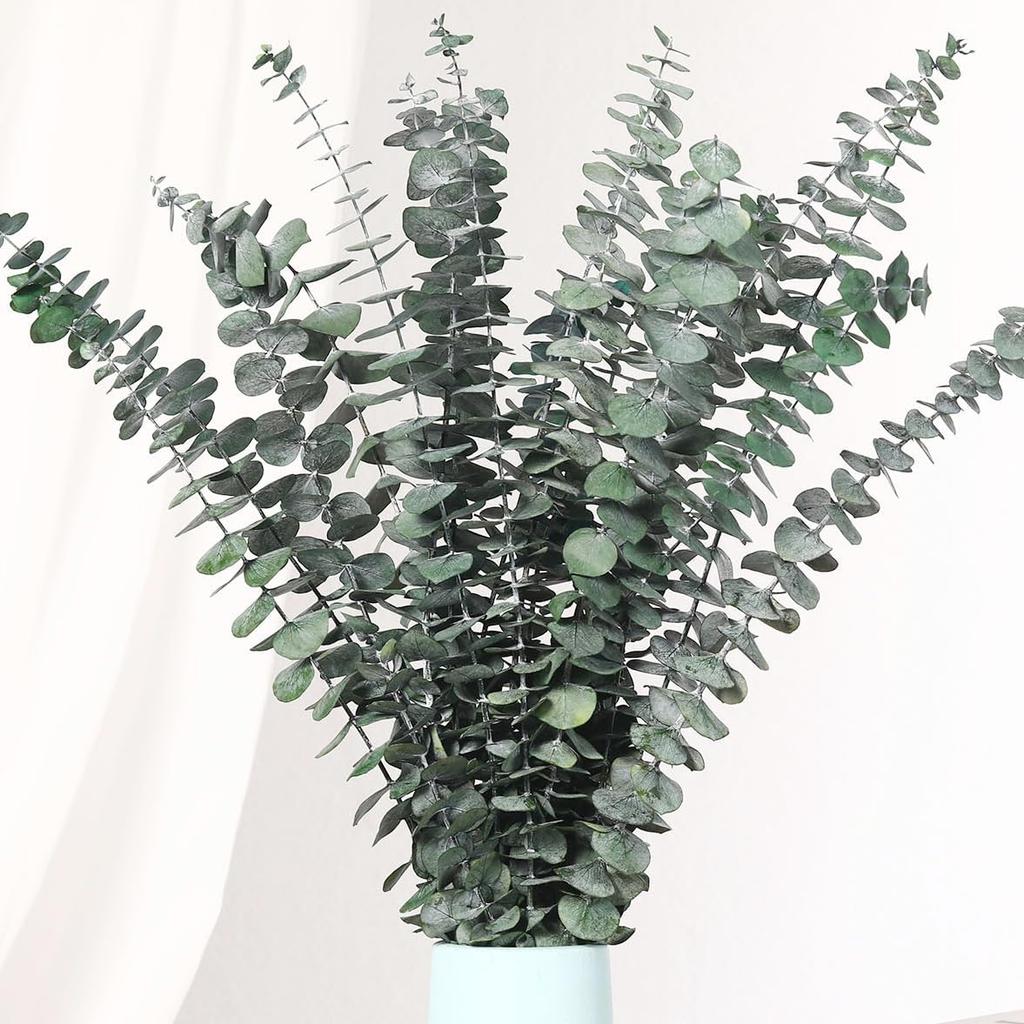 20 PCS Dried Eucalyptus Stems, 17'' Natural Real Live Greenery Eucalyptus Leaves Branches Hanging Shower, Preserved Fresh Eucalyptus Plant for SPA