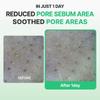 CENTELLIAN24 Madeca Powder Tea Tree AC 6g