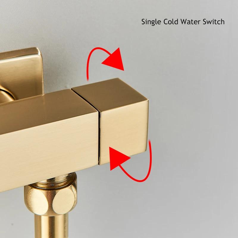 6 Finishes Pressurized Brass Bidet Shattaf Sprayer Complete Set Single Cold Water Wall Mount Handheld Spray Gun