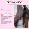 Dry Shampoo, Leave-in Dry Hair Spray, Oil Controlling Hair Mist, Refreshing Spray, Leave-in Shampoo Spray(100ML)