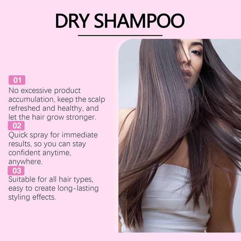 Dry Shampoo, Leave-in Dry Hair Spray, Oil Controlling Hair Mist, Refreshing Spray, Leave-in Shampoo Spray(100ML)