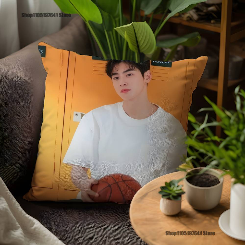

Singer Cha E-Eun WooES Pillow Case For Sofa Decor Car Office Room Printing Cushion Cover Decorations and Protector 12x12Inch