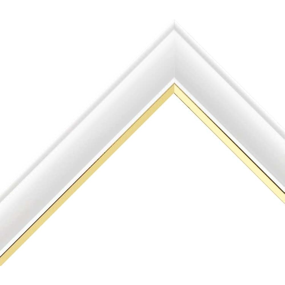 Epoch [Made in Japan] Puzzle Frame Transparent Jigsaw Puzzle Special Frame (25 x 36 cm) Hanging S...