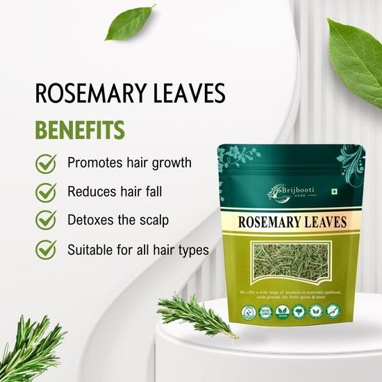 BrijBooti Rosemary Leaves for Hair Growth (100g) | FSSAI, GMP, ISO | Prepare Rosemary Water for Hair | Rosemary Leaves | Use for Seasoning