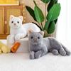 Appease Toy Soft Kitten Pillow Stuffed Toys Cat Plush Doll Plush Pillow Simulation Cat Plush Toy