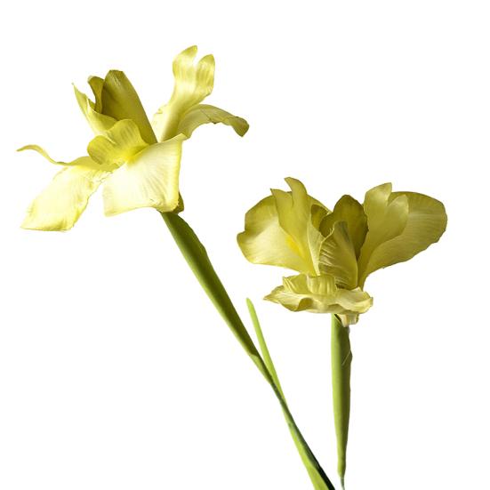 Artificial Iris Flower 2 Heads Faux Silk Flower Bouquet Long Stem Fake Iris Flowers for Floral Arrangements Table Centerpiece Party Wedding Decor