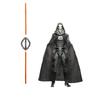 Hasbro STAR WARS Black Series Eleventh Brother, "Star Wars: Maul/Shadow Lord" Premium Collection 15cm Action Figure G2570 Genuine Product