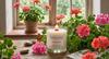 soy candle with wooden wick + GERANIUM
