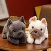 Adorable Bulldog Plush Toy 30cm Super Soft Stuffed Animal Huggable Companion Realistic Standing Plushie
