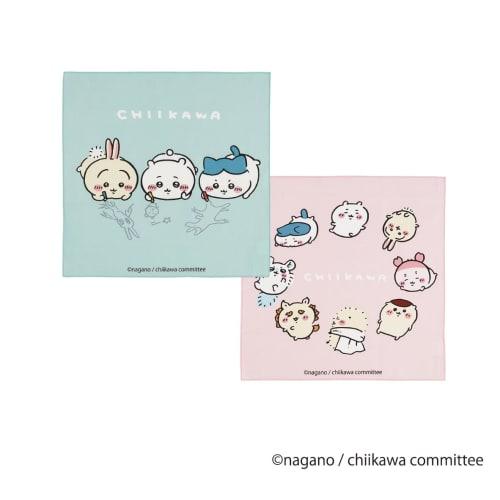 Skater Children's Lunch Box Lunch Cloth Set of 2 Chikawa KB4WN-A