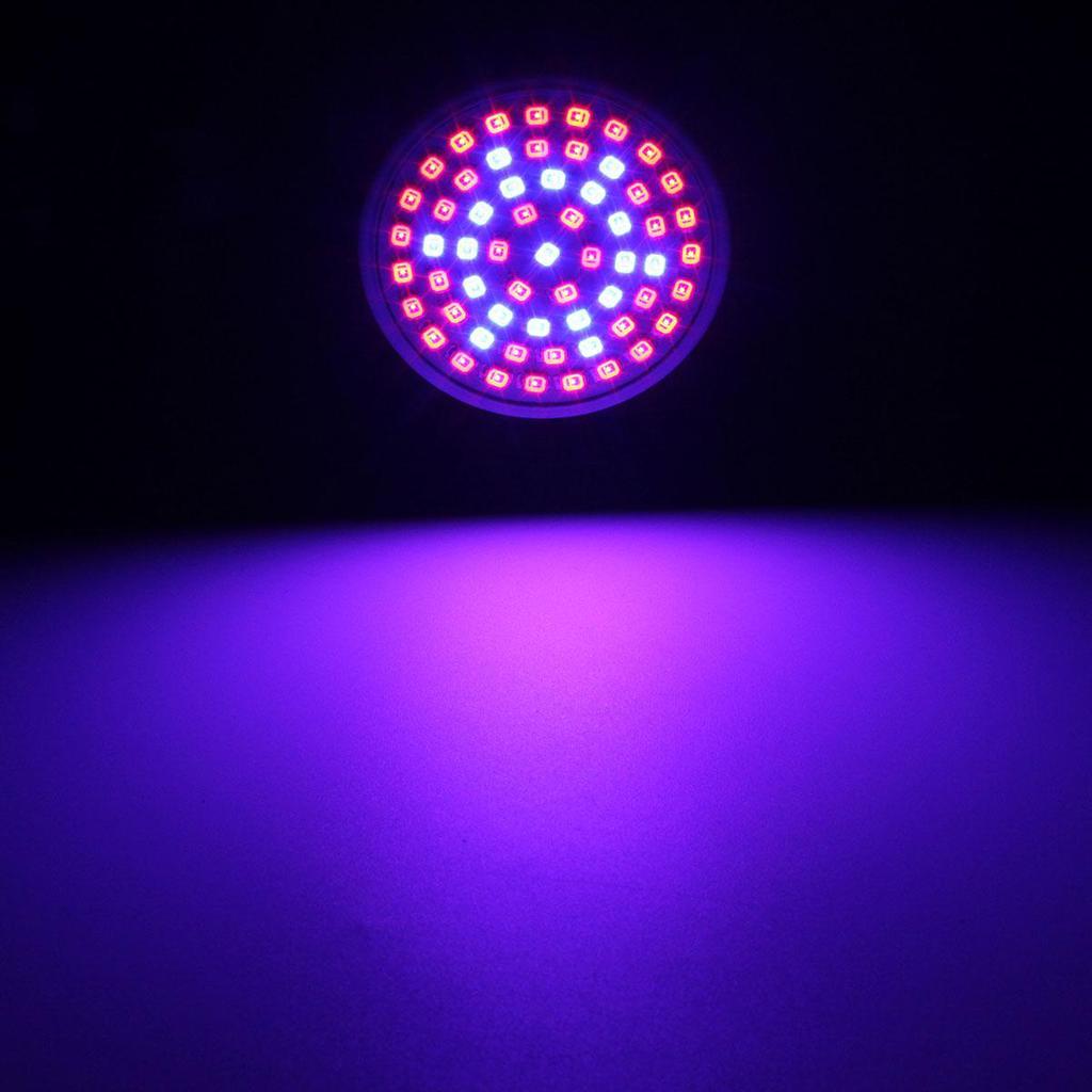 E27 5W 60 LED 2835 SMD Grow Glühbirne Lampe Gartenpflanze Blüte Hydrokultur