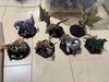 [USED] Monster Hunter Standard Model Plus vol.24