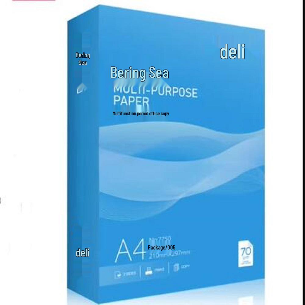 Carta Bianca Deli A4 70g e 80g, Design Venature Legno, Schizzo Studente, Stampa Fronte/Retro Spessa