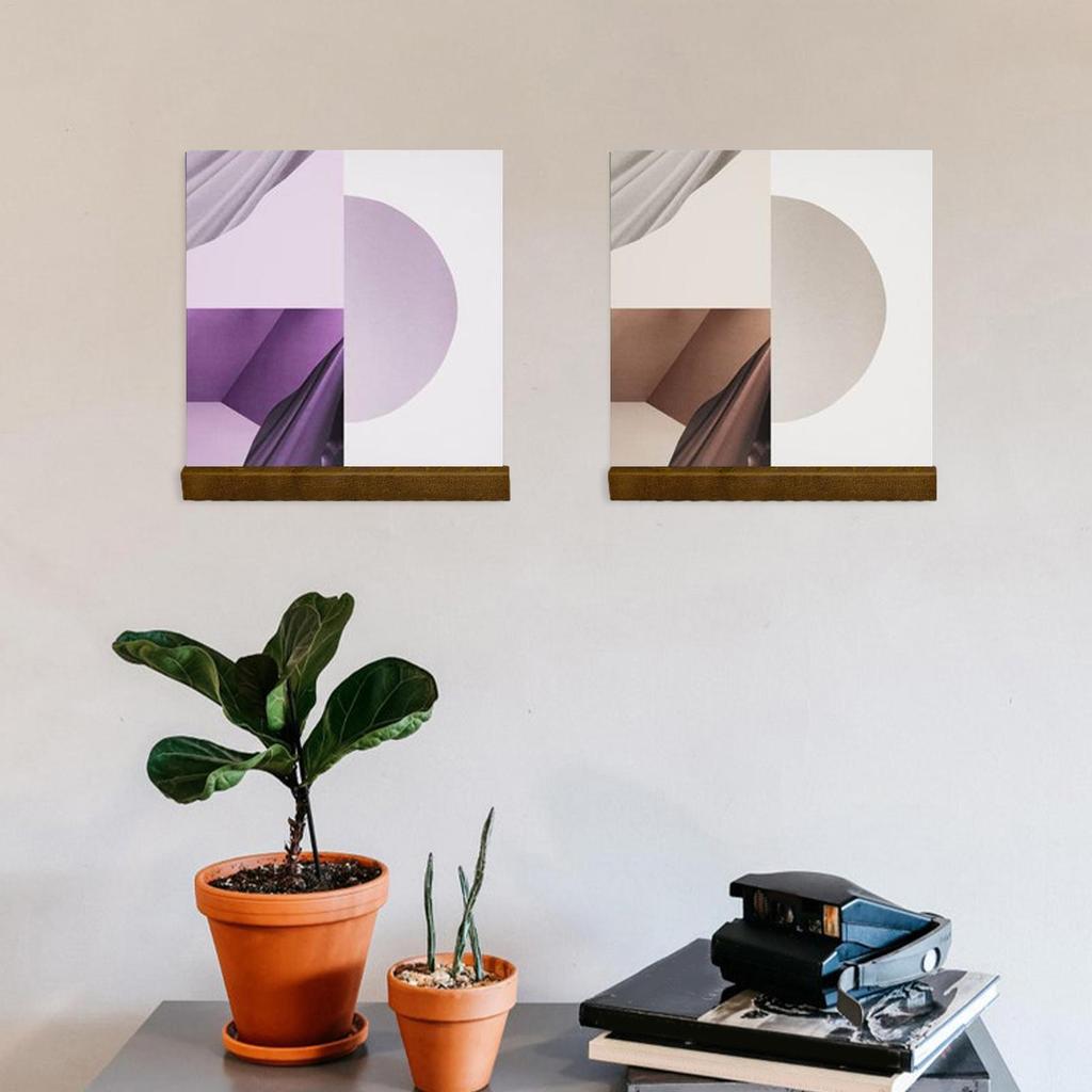 Wall Mounted Record Shelves, Solid Wood Sturdy Album Storage Rack, Smooth Vinyl Display Hanger for Living Room Music Room Decor