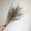 Wabi-sabi Dried Flower Arrangement: Reed, Pine Cones, Cotton, Wheat, Poppy Bouquet
