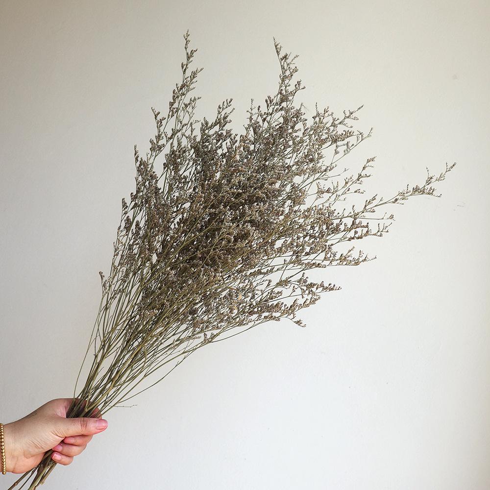 Wabi-sabi Dried Flower Arrangement: Reed, Pine Cones, Cotton, Wheat, Poppy Bouquet