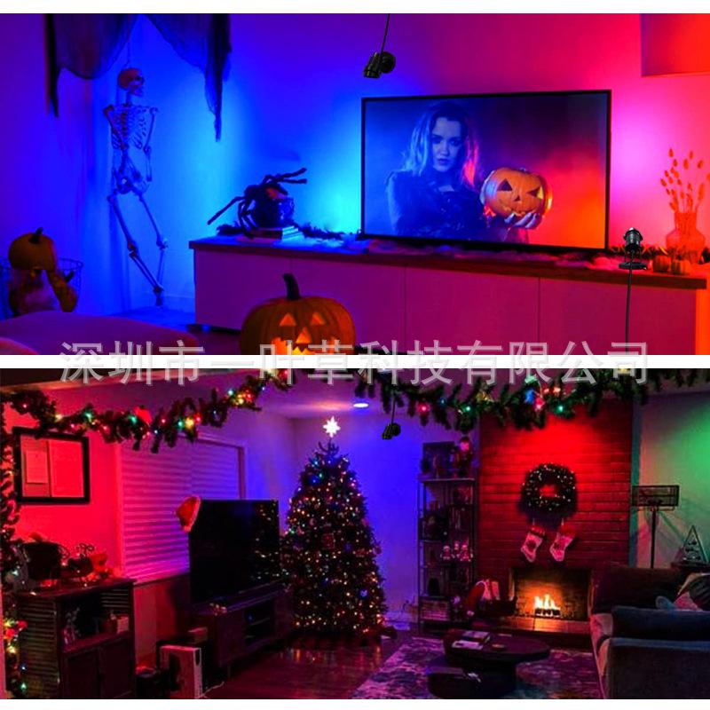 RGBW LED Landscape Spotlight with RF Remote Control
