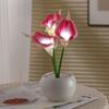 Calla Lily Lamp LED Simulation Light with Ceramic Calla Lily Flower Night Vase Faux Floral Bedroom