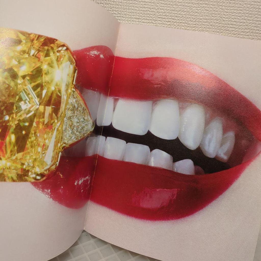 [USED] Western Magazine Art Book TOILET MILES PAPER ALDRIDGE