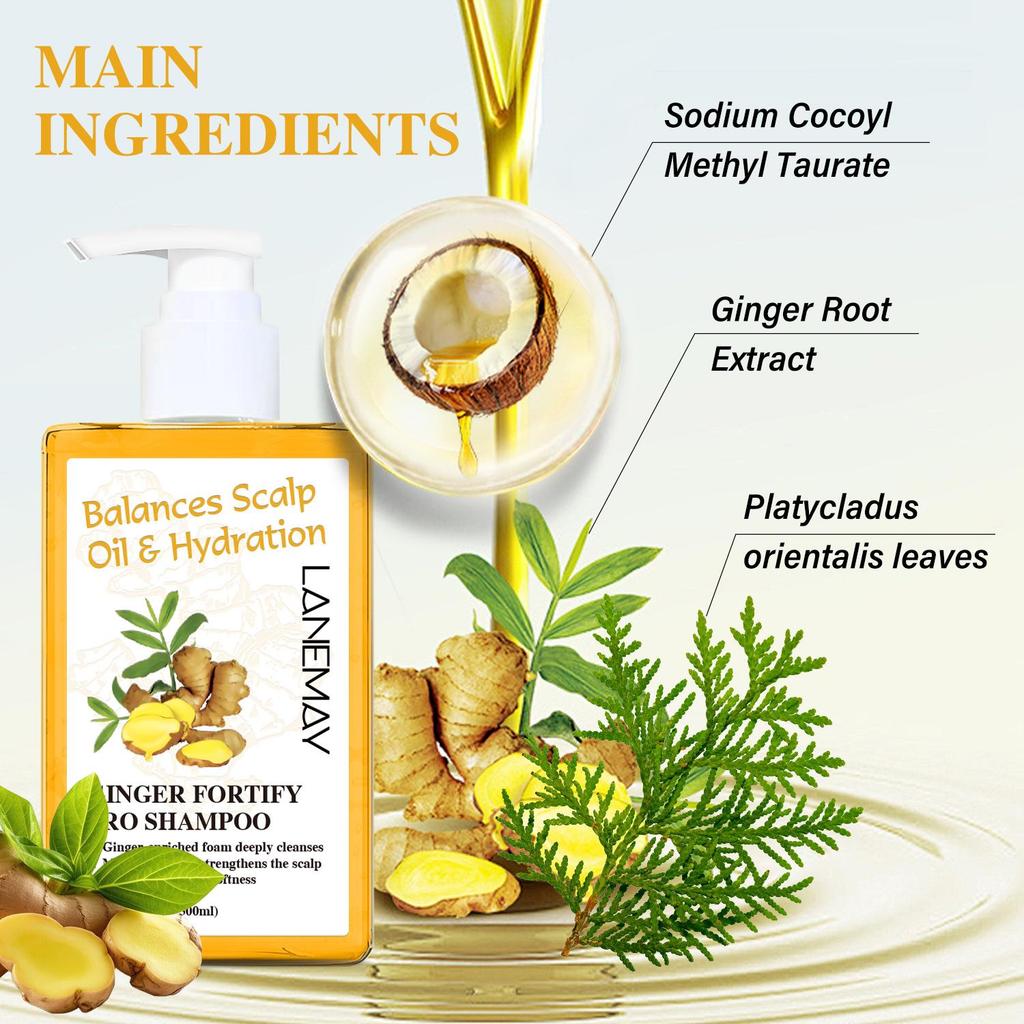 Ginger Fortify Pro Shampoo-Deep Cleanses Hair, Contrals Oil-Enhance Shine & Softness-Suitable For All Hair Types, 300ml