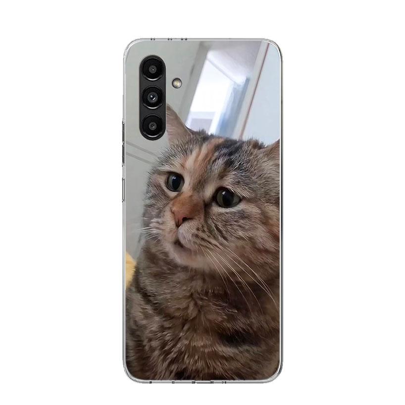 Pet Cat Funny Memes Phone Case For Samsung Galaxy A16 A14 A15 A13 A56 A54 A55 A53 A26 A24 A25 A23 A36 A34 A35 A33 A05S A04S A03S