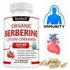 Organic Berberine 4:1 Extract Supplement with Organic Ceylon Cinnamon, 120 Capsules