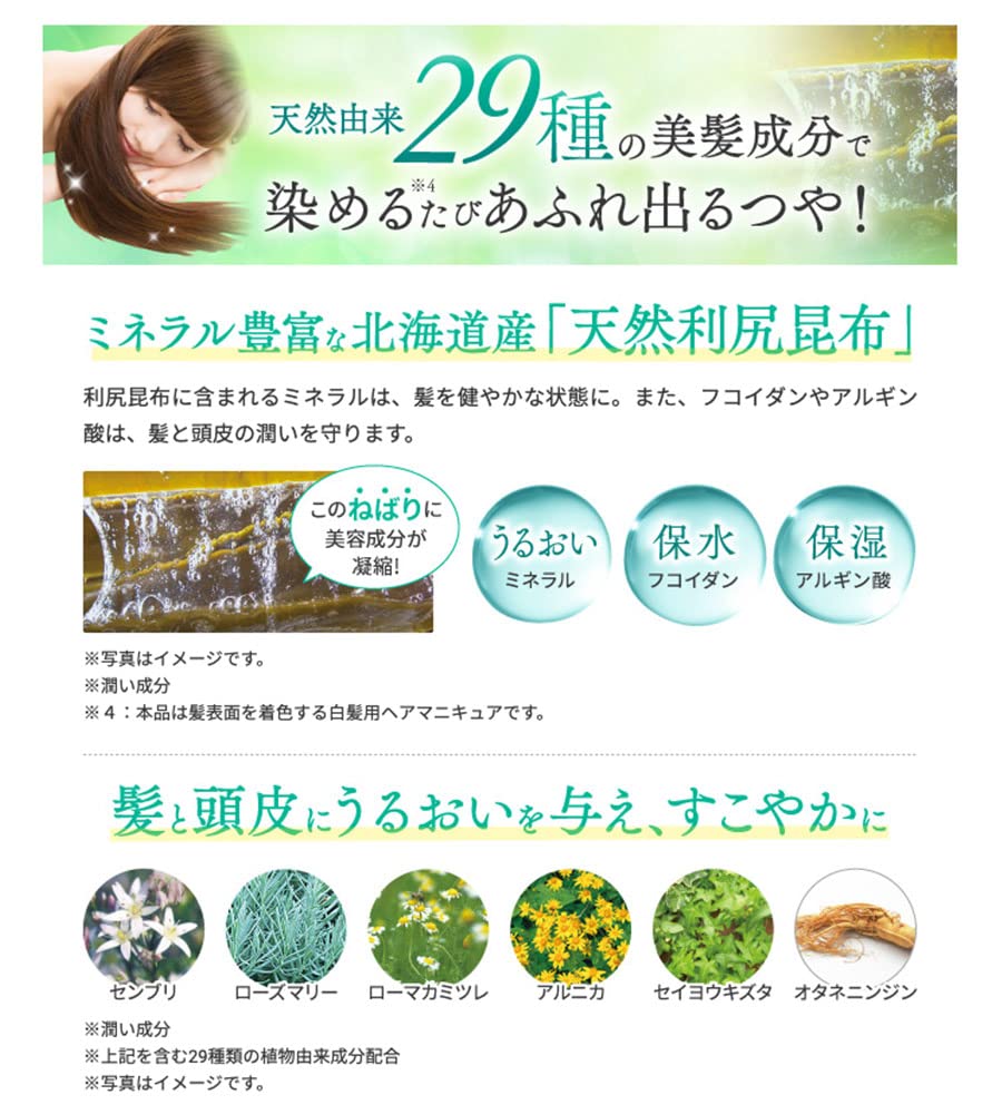 Sastty Rishiri Hair Color Treatment for Gray Shine Plus 150g Hair, (Natural Brown),