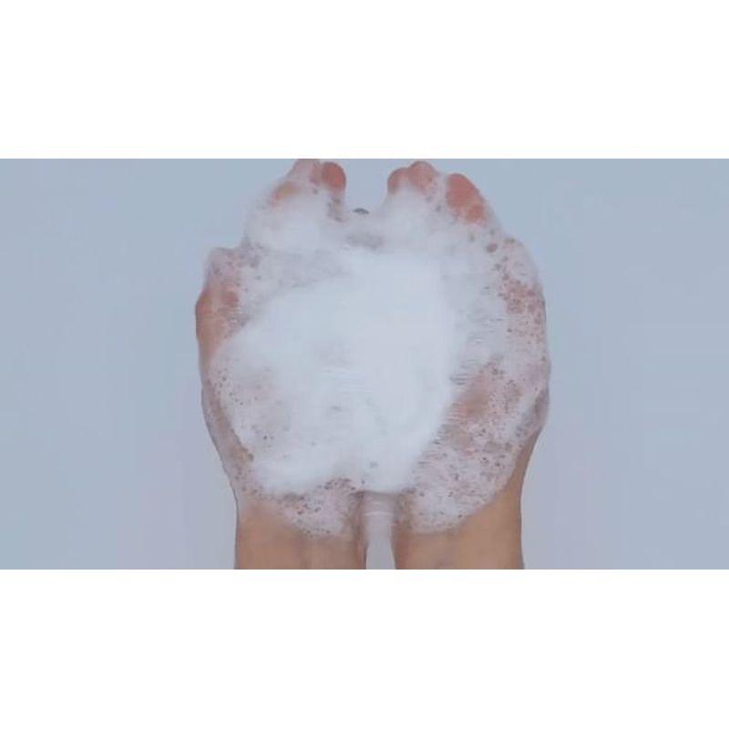 LEBELAGE - Perfect Repair Shampoo