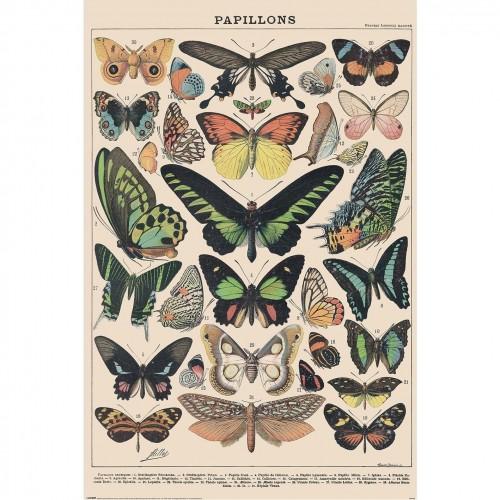 Adolphe Millot Papillon Print