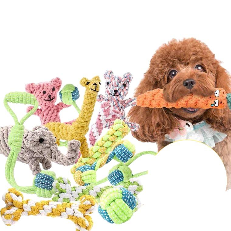 Teddy Bichon Puppy Rope Knot & Chewing Stick for Small/Medium Dogs