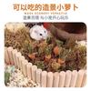 Hamster Sauna Bathtub - Pet Deodorizing & Cleaning Supplies for Small Animals