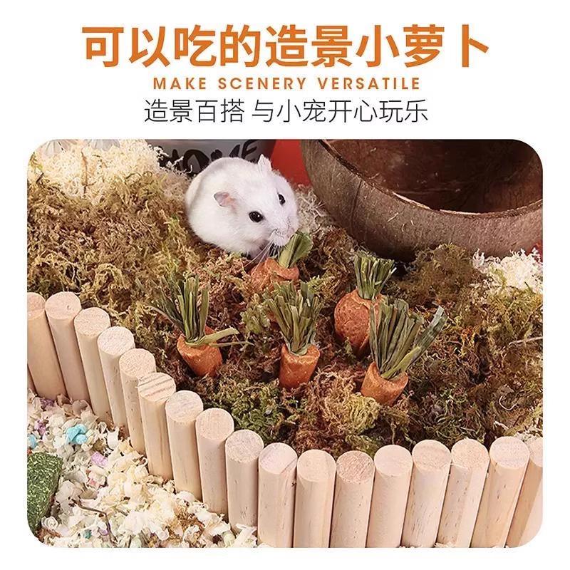 Hamster Sauna Bathtub - Pet Deodorizing & Cleaning Supplies for Small Animals