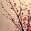 Artificial Plum Blossom Arrangement for Home Décor & Photography