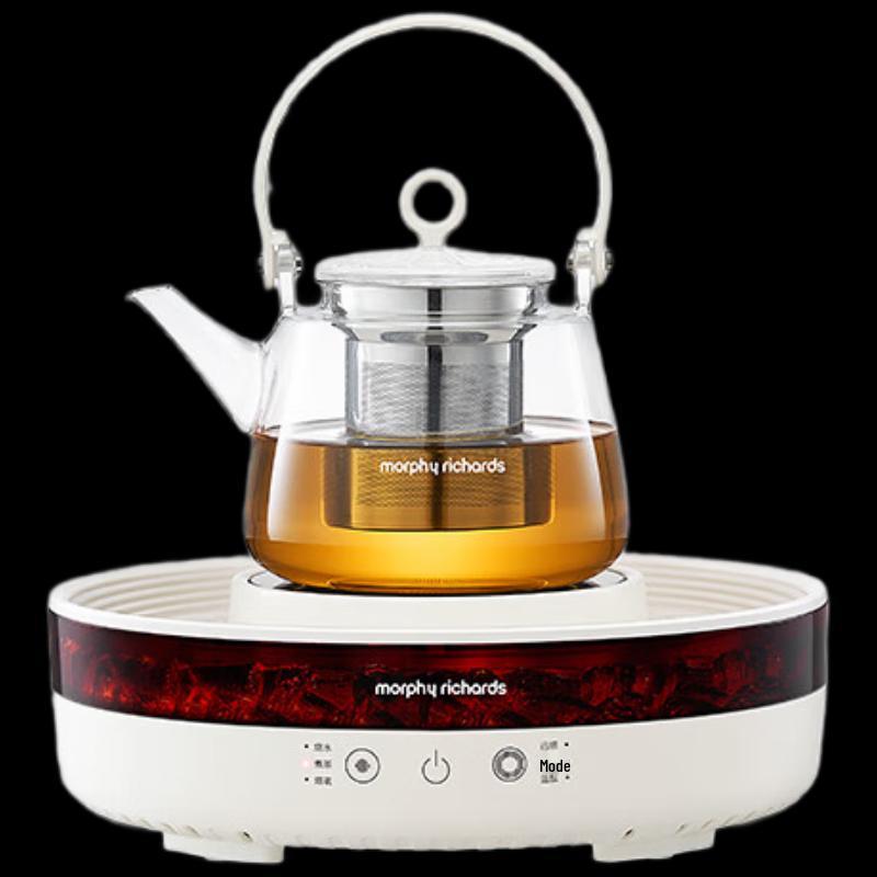 Morphy Richards Multi-function All-Glass Health Pot & Tea Maker CN plug (adapter included)