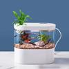 USB Mini Desktop Aquarium Built-in Water Pump / LED Light / Filter Self Circulation and Self Circulation Goldfish Tank